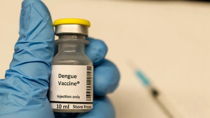 Brasil: Un laboratorio público desarrolló una vacuna contra el dengue con casi el 80% de efectividad