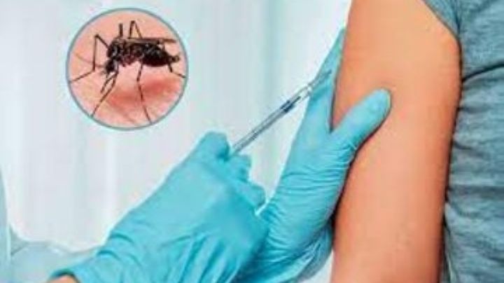 Hay baja demanda de la vacuna contra el dengue