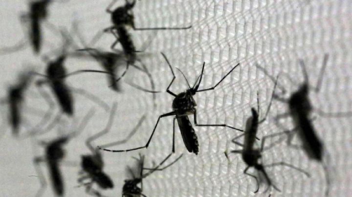 Alertan por aumento récord de casos de dengue en las Américas