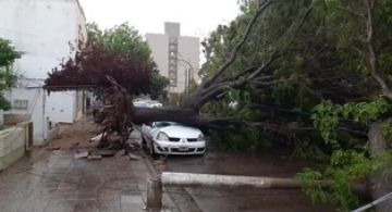 Se registraron ráfagas de hasta 200 km/h y graves daños en Etruria