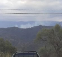 “El 99% de los incendios son intencionales”