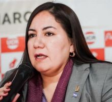 Criticas del radicalismo a Silvana Carrizo